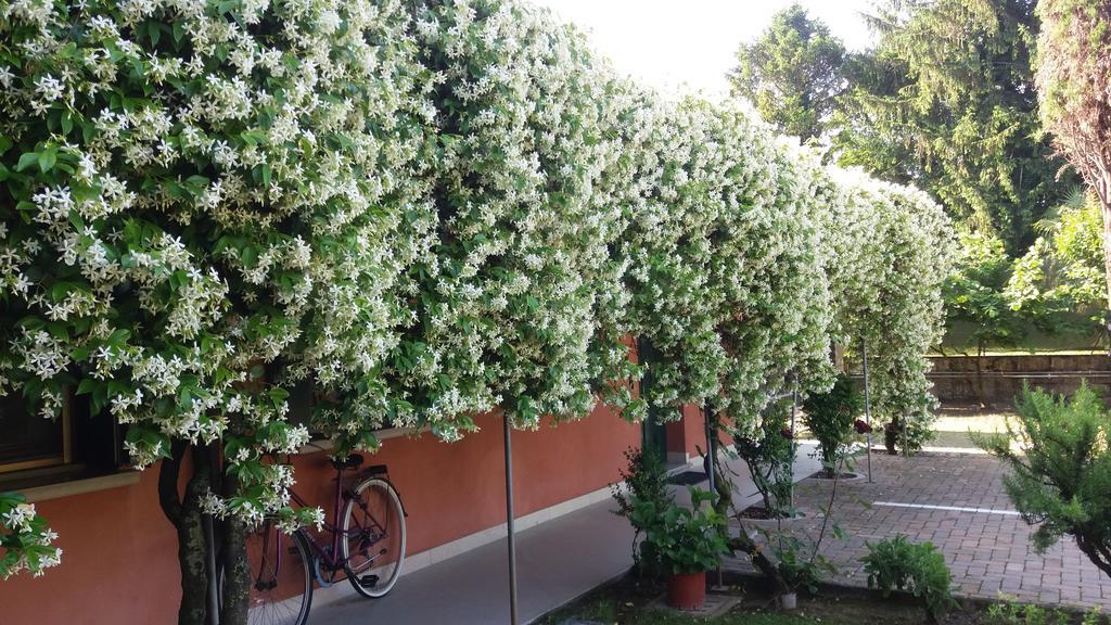 Dreon B&B بورتوغروارو المظهر الخارجي الصورة